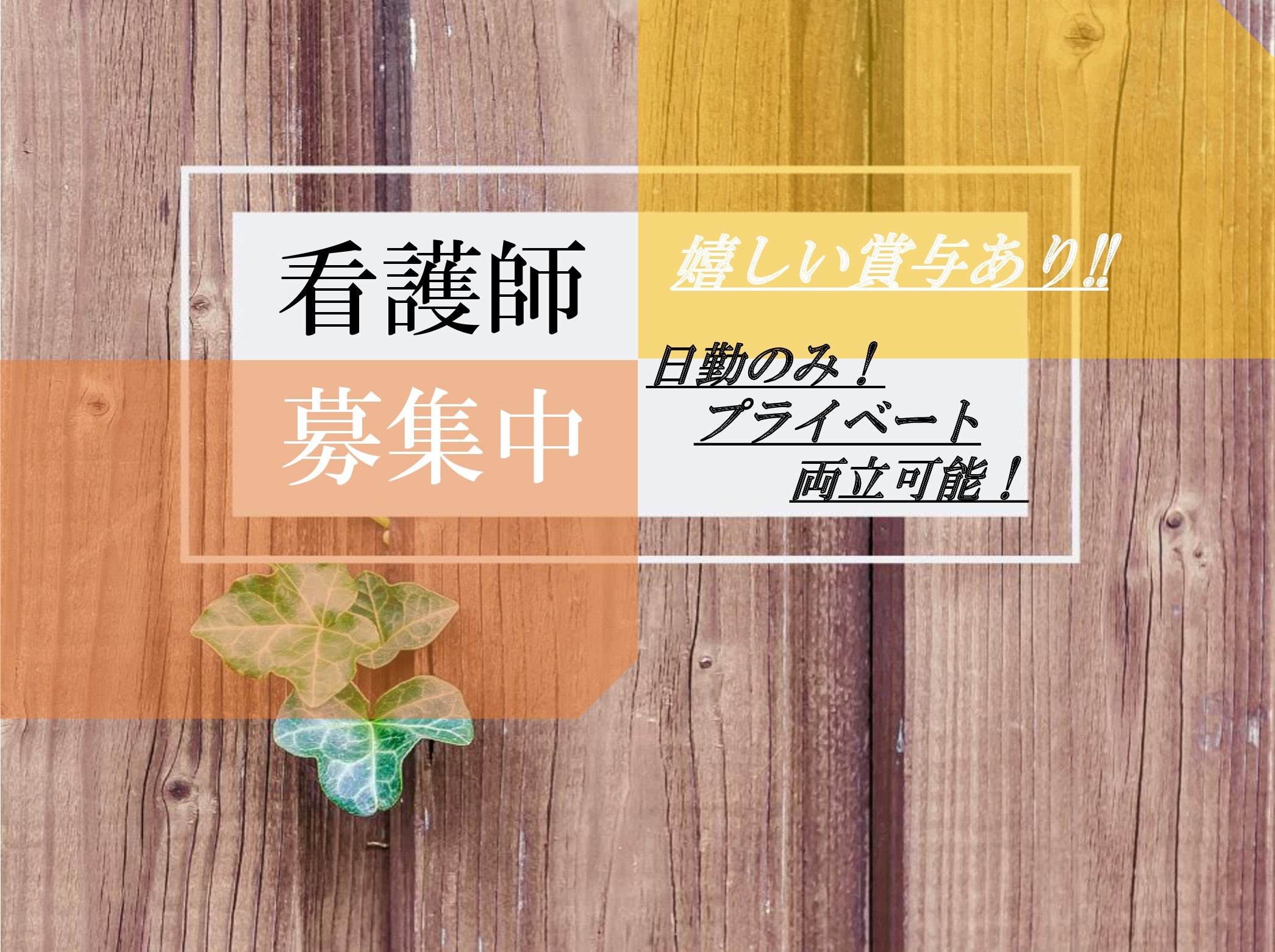 晴クリニック皮ふ科・ひ尿器科のパート 正看護師 病院・クリニック・診療所求人イメージ