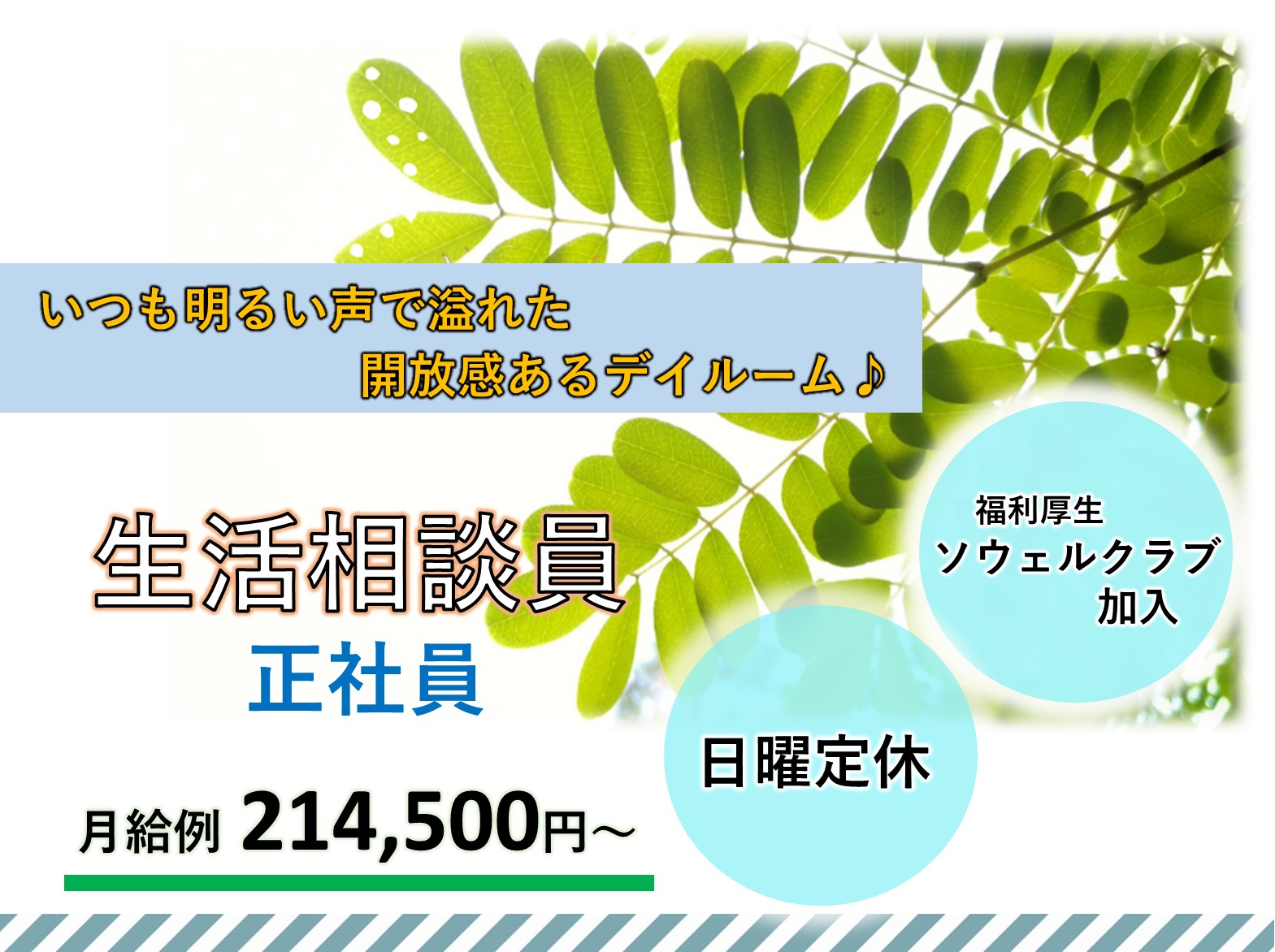 株式会社　アンテック ゆかり柏　デイサービスセンターの正社員 相談員 デイサービスの求人情報イメージ1