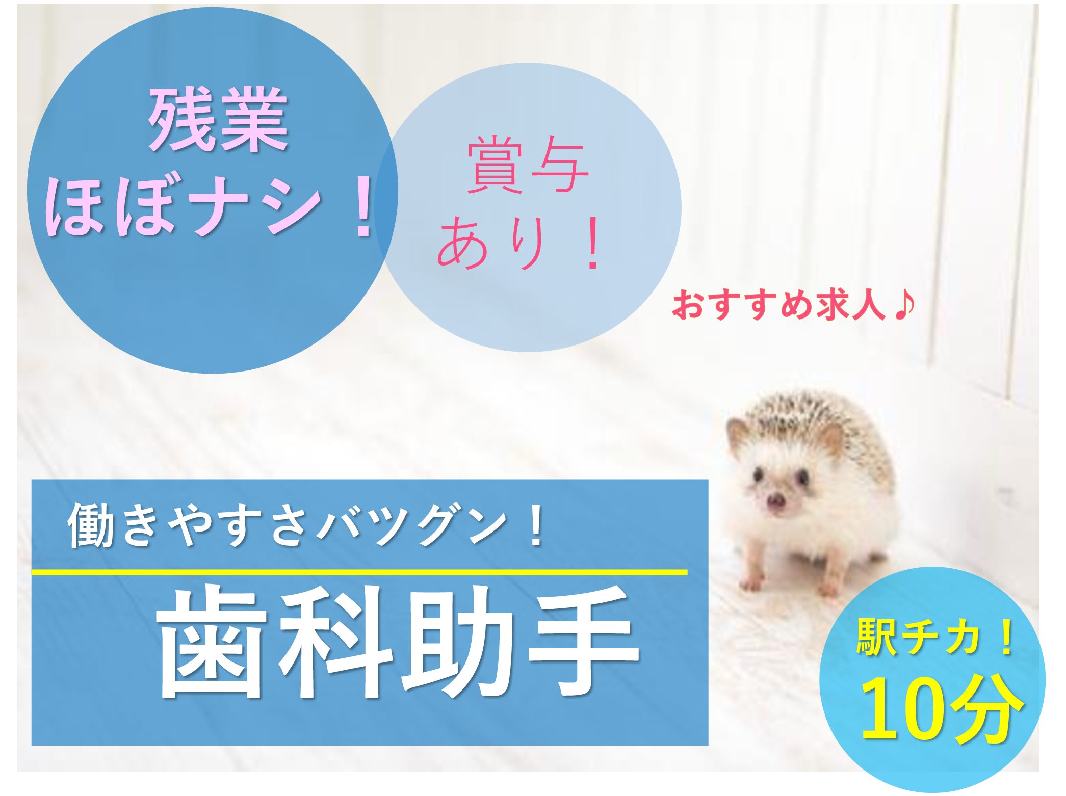 正社員 その他 病院・クリニック・診療所の求人情報イメージ1