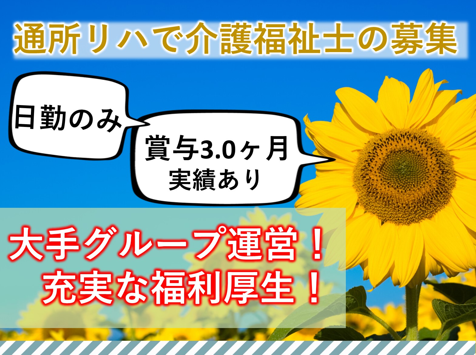 医療法人社団　葵会 介護老人保健施設　葵の園・柏の正社員 介護職 デイケアの求人情報イメージ1