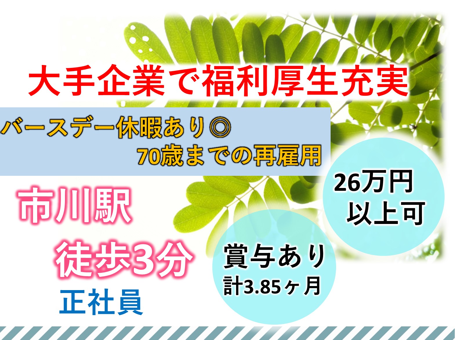 社会福祉法人　慶美会 市川市高齢者サポートセンター 市川第一の正社員 相談員 ソーシャルワーカー 地域包括支援センターの求人情報イメージ1