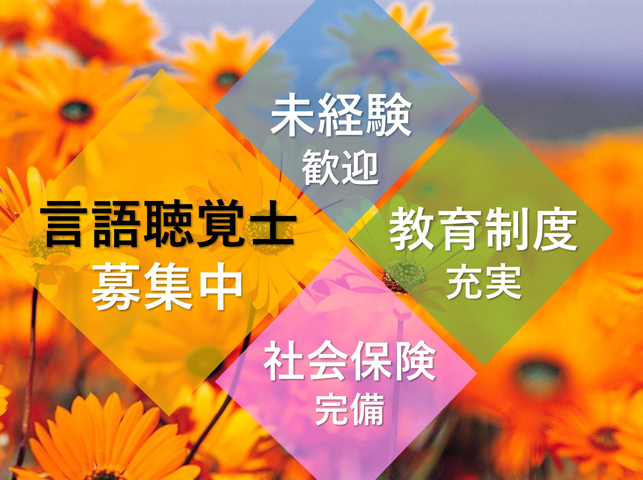 医療法人社団　晴山会 医療法人社団晴山会 介護老人保健施設ばらの里の正社員 言語聴覚士 介護老人保健施設の求人情報イメージ1