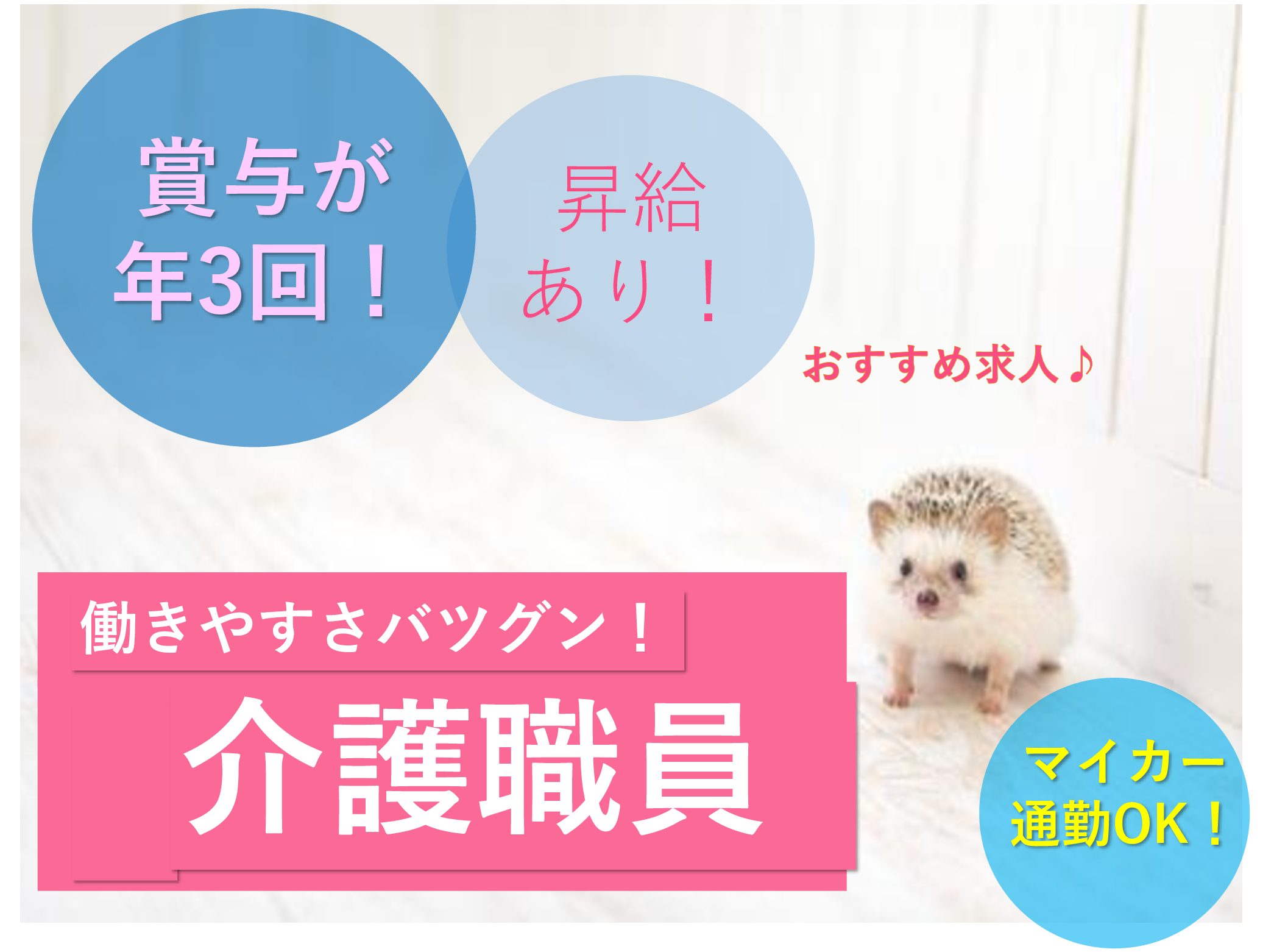 社会福祉法人　旭悠会 特別養護老人ホーム　習志野偕生園の正社員 介護職 特別養護老人ホームの求人情報イメージ1