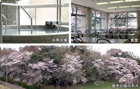 株式会社 太寿 住宅型有料老人ホーム ひまわりの郷 土気城址の正社員 介護職 有料老人ホームの求人情報イメージ2
