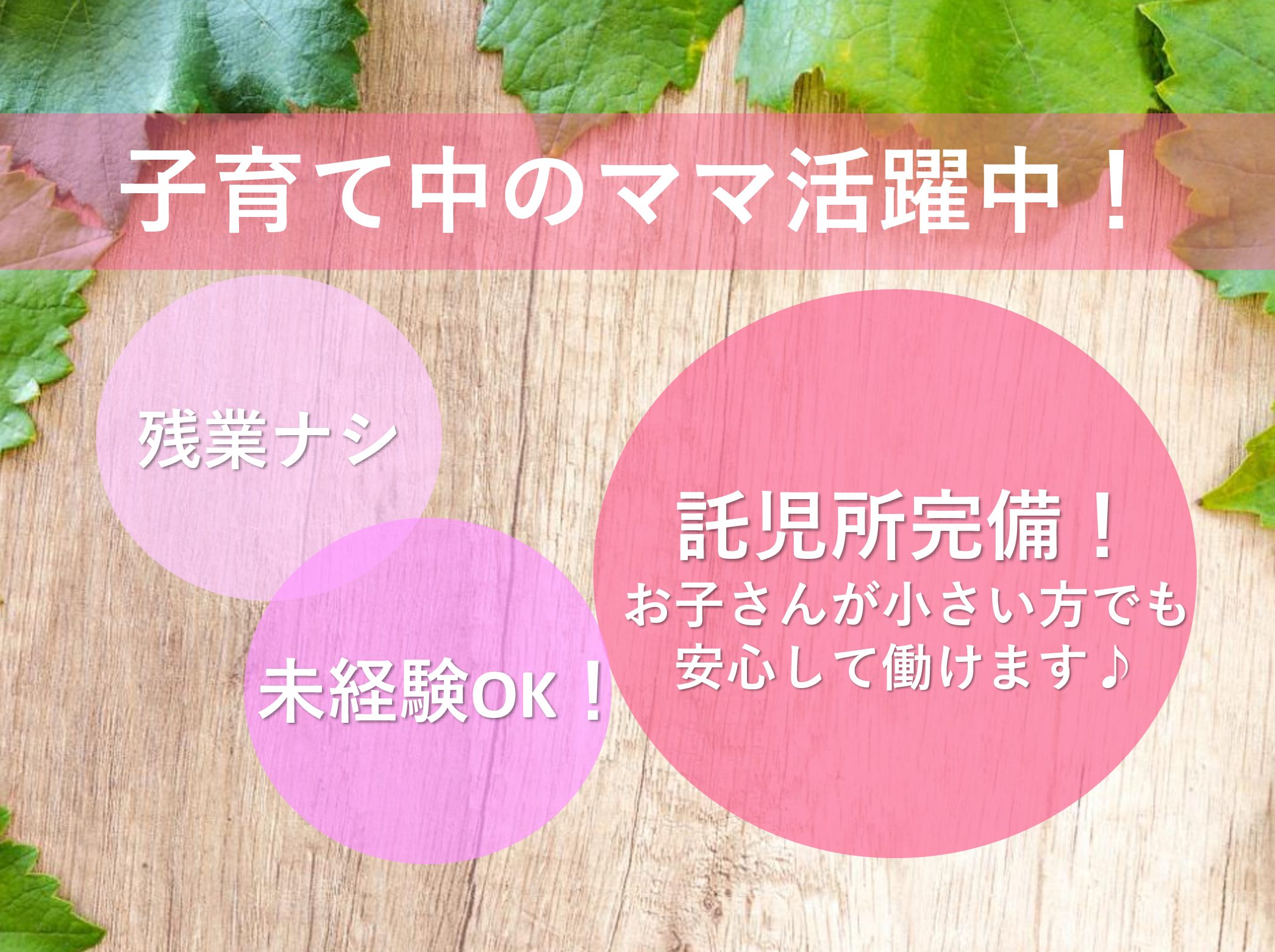 社会福祉法人　神聖会 ケアハウス　菊華園の正社員 介護職 サービス付き高齢者向け住宅の求人情報イメージ1