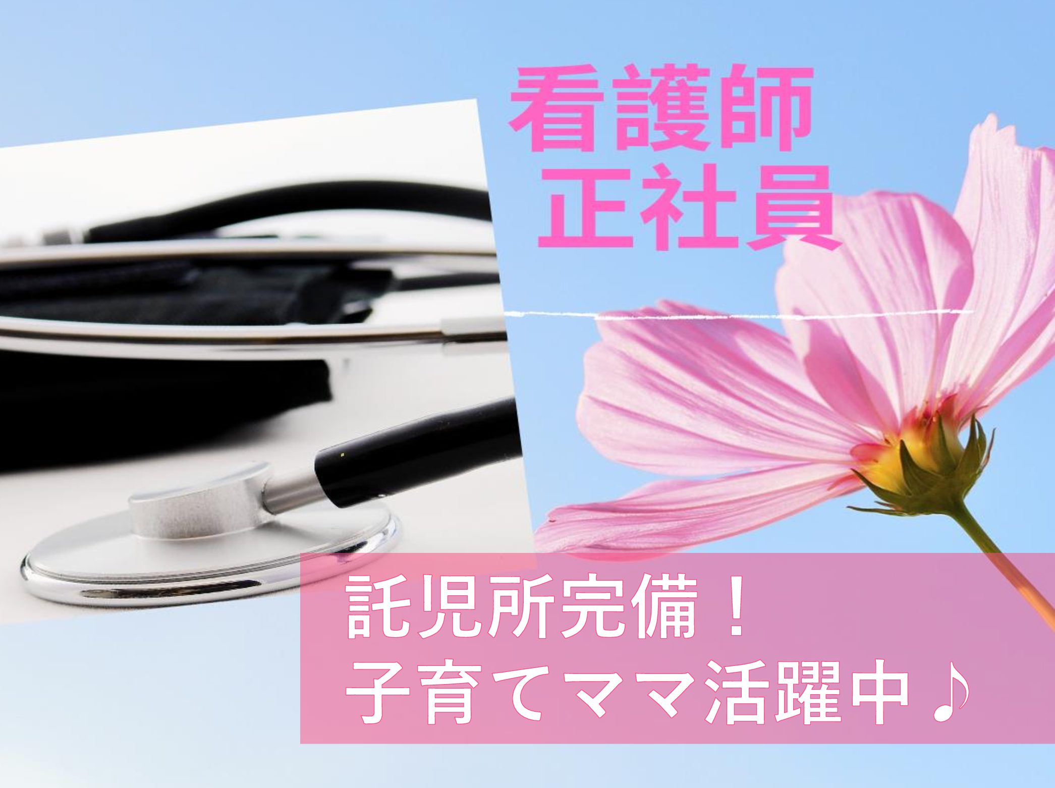 社会福祉法人　神聖会 菊華園デイサービスセンターの正社員 正看護師 デイサービスの求人情報イメージ1