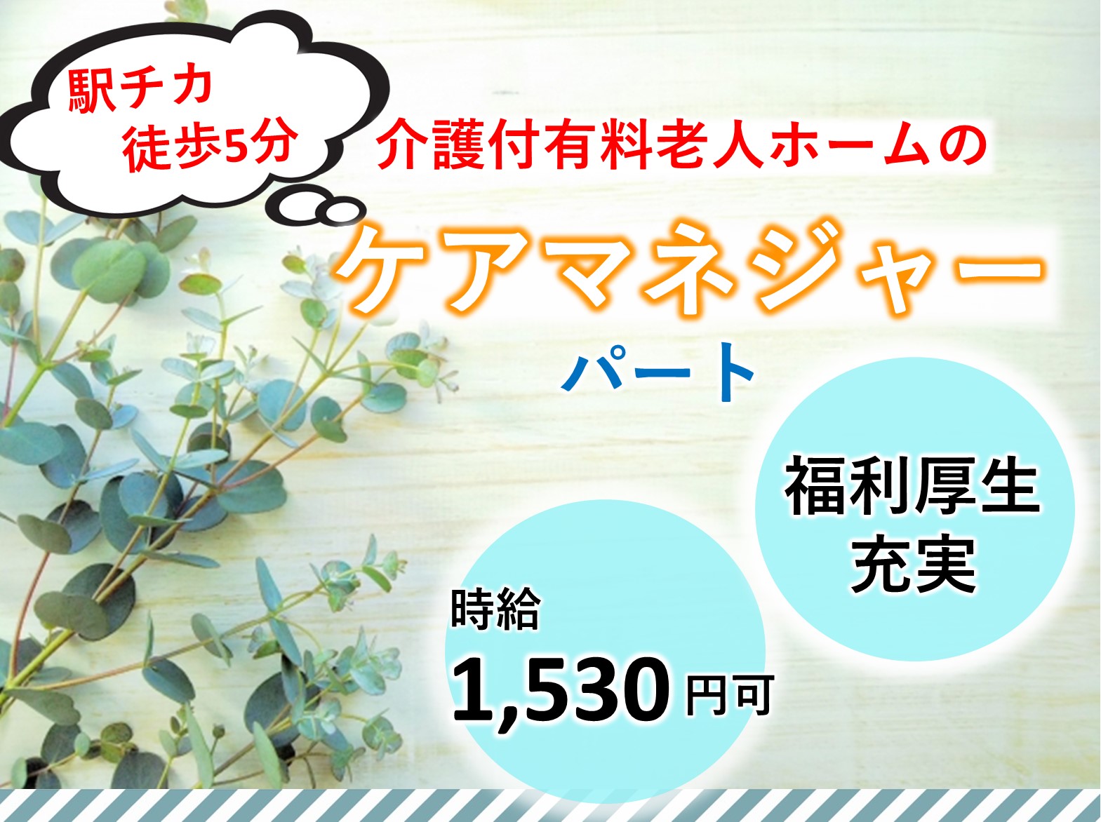 株式会社ツクイ ツクイ・サンシャイン杉並のパート ケアマネージャー 有料老人ホームの求人情報イメージ1