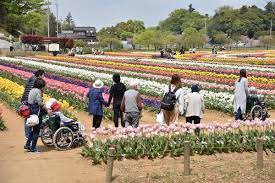 社会福祉法人　貴陽福祉会 特別養護老人ホーム第2南花園の正社員 介護職 特別養護老人ホームの求人情報イメージ7