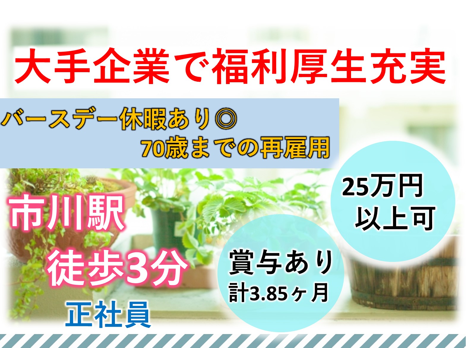 社会福祉法人　慶美会 市川市高齢者サポートセンター 市川第一の正社員 ケアマネージャー 地域包括支援センターの求人情報イメージ1