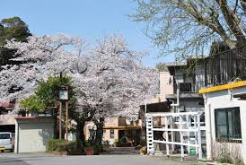 社会福祉法人　佐倉厚生会 特別養護老人ホーム　さくら苑の正社員 正看護師 特別養護老人ホームの求人情報イメージ5