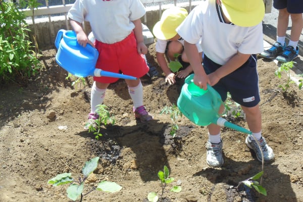 社会福祉法人愛の園福祉会 幼保連携型認定こども園マリヤこども園のパート 保育士 保育園・学童の求人情報イメージ9